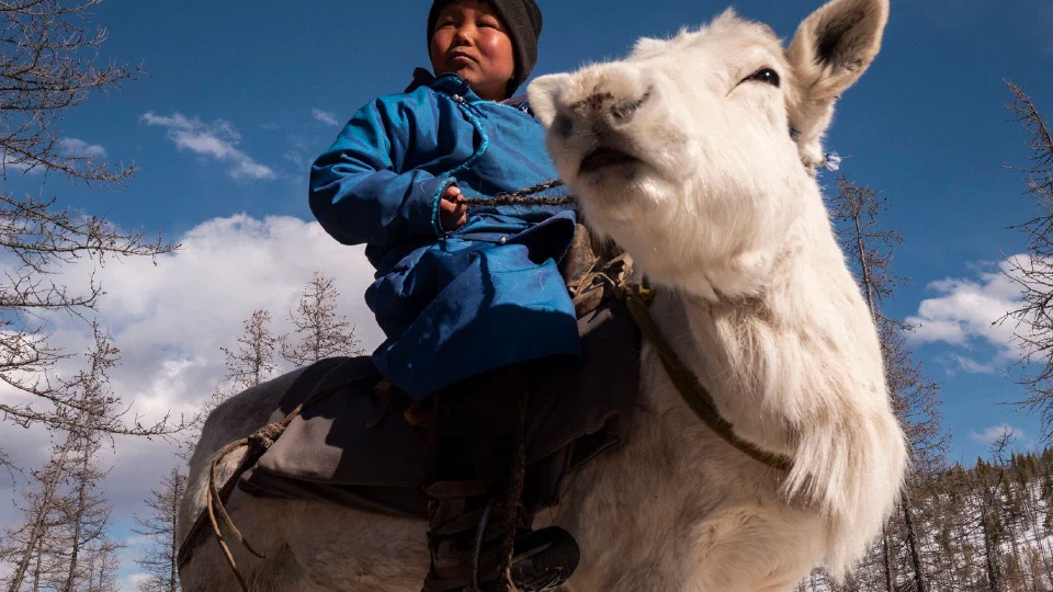 Bayandalai: Lord of the Taiga