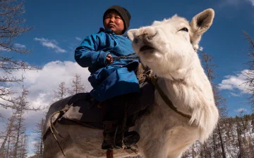 Bayandalai: Lord of the Taiga