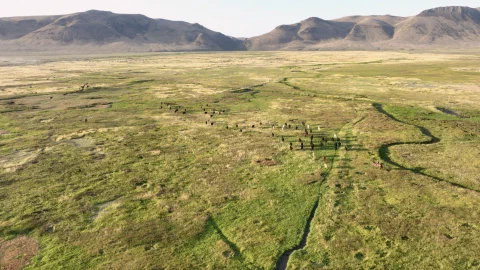 Changing a Landscape to a Lifescape: the Humboldt Ranch