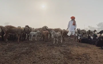 Shepherds of the Deccan