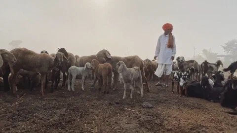 Shepherds of the Deccan
