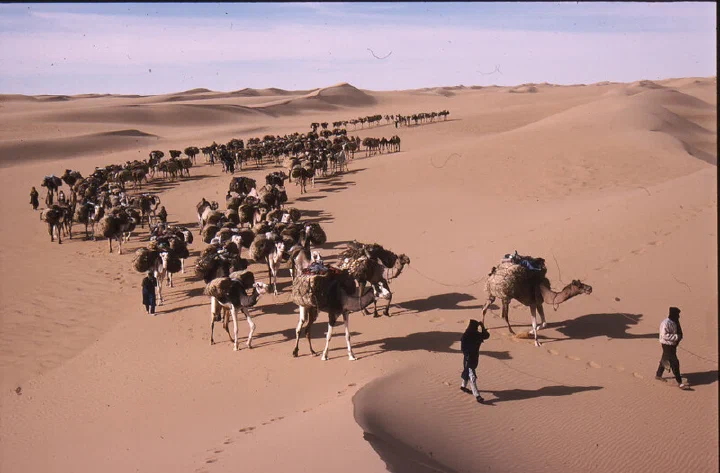 Tarlamt: Salt Caravan to Bilma