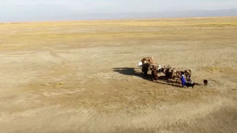 Tes River Mongolians
