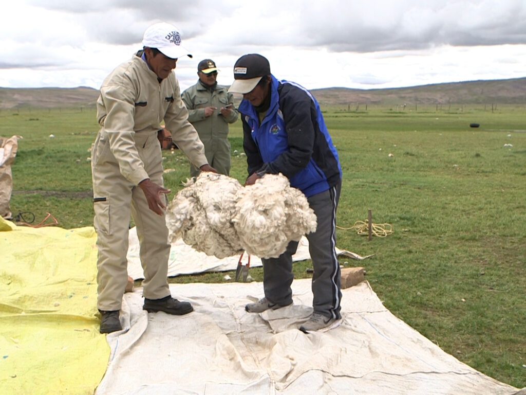 The Custodians of the Andean Gold