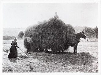 Mixed farming