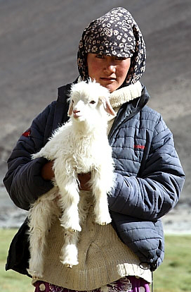 Changpa