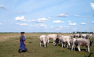 Puszta